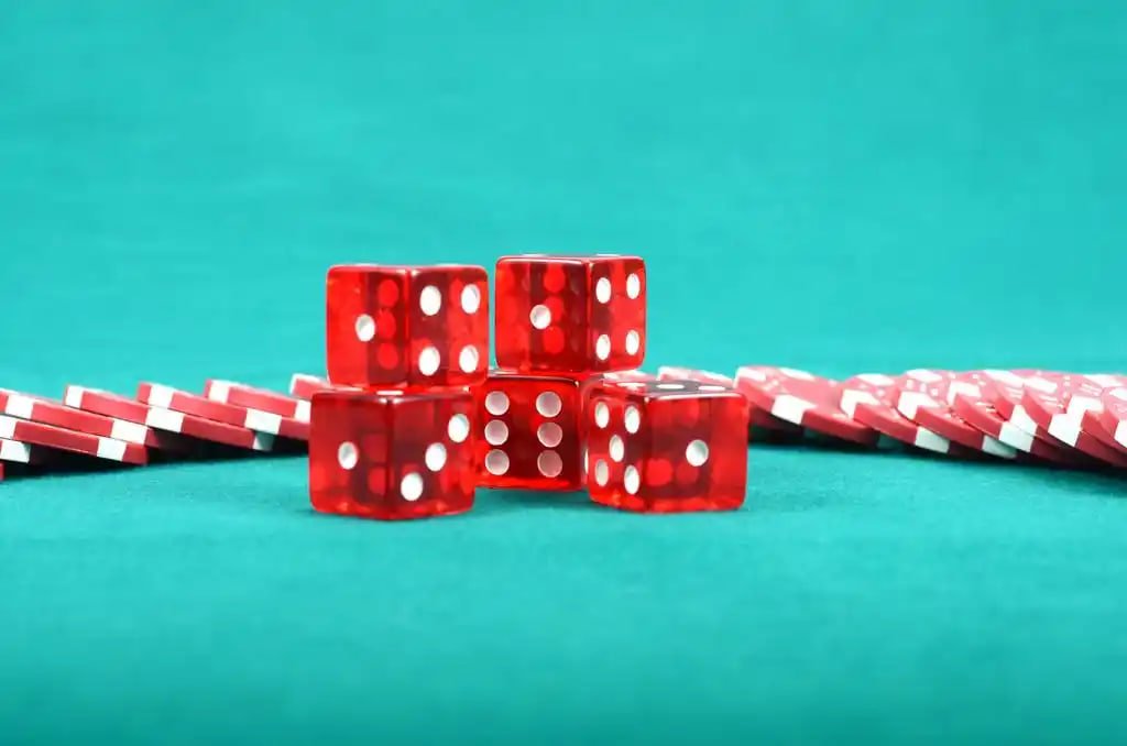 zoo188 Live Casino cara bermain panduan pemula meja baccarat roulette blackjack